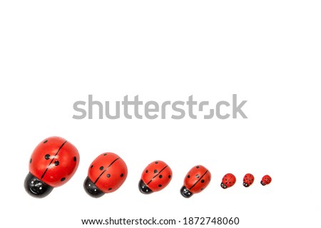 Valentine's day white background for congratulations. Background with place for text. On a beautiful black heart a pair of ladybugs