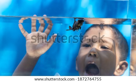 Happy kid watching black gold fish, Fascinated child with aquarium fish tank.
