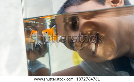 Happy child watching fishes, Fascinated child with aquarium fish tank.
