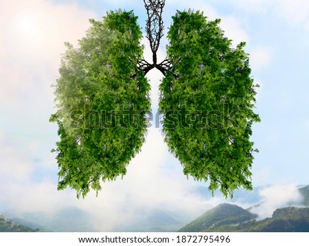 The silhouette of the lungs against the background of a mountain landscape. Trees are the lungs of the planet. Air purification. Mountains. Ecological concept. Royalty-Free Stock Photo #1872795496