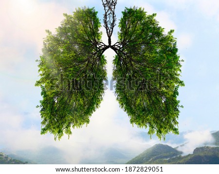 The silhouette of the lungs against the background of a mountain landscape. Trees are the lungs of the planet. Air purification. Mountains. Ecological concept. Royalty-Free Stock Photo #1872829051