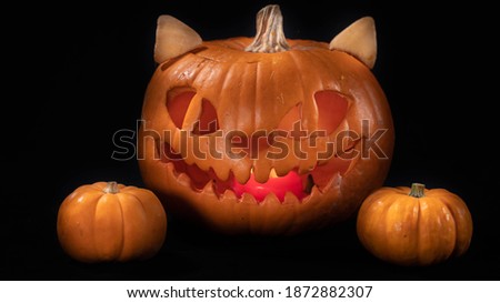 
Halloween pumpkin cat, illuminated, under swirls of smoke, on black background Royalty-Free Stock Photo #1872882307