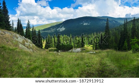 Panorama with a sunny alpine grassland full of rocks and populated with fir and spruce trees. The high ridges of Lotru Mountains can be seen in the background. Royalty-Free Stock Photo #1872913912