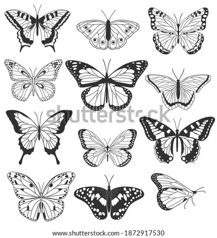 Set of realistic black and white butterflies isolated on white background. Collection of vintage elegant illustrations of butterflies. Design elements for your project. Vector illustration