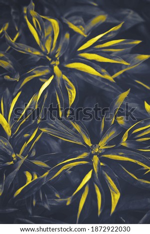 Abstract natural leaves texture background. Pantone colors of 2021 - Illuminating Yellow and Ultimate Gray.