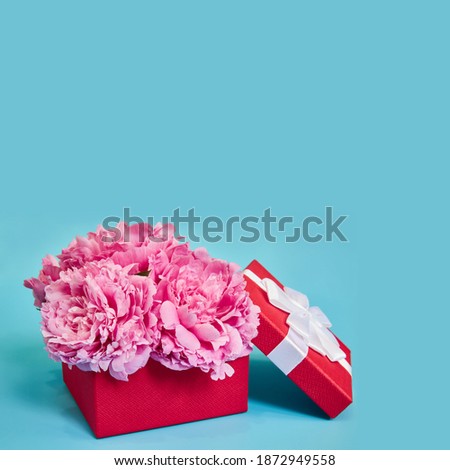 Gift box with flowers pink peonies in red packaging on a blue background with copy space.