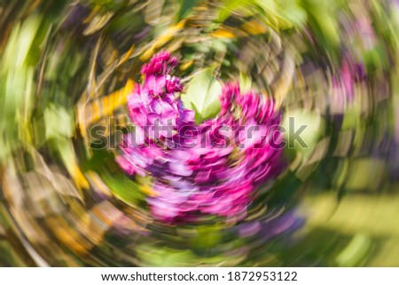 Artsy swirling motion blurred purple flowers