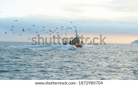 Fishing boat surrounded by black-headed gulls in coming back to the port at the sunset Royalty-Free Stock Photo #1872980704