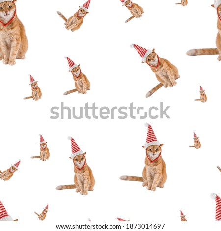 Christmas pattern. Rozhdestvensky cat. Red cat wearing a santa claus hat. Isolate pattern.
The object is isolated.
