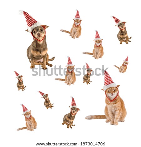 Christmas pattern. Christmas animals. Cat and dog wearing santa claus hat. Isolate pattern. The object is isolated.
