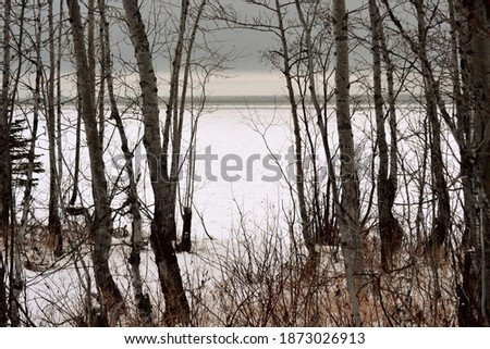 Frost on the shores of Lac Saint Jean, Quebec.
