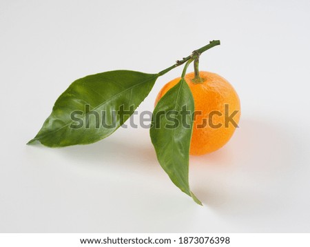 Japanese mandarin oranges on white background