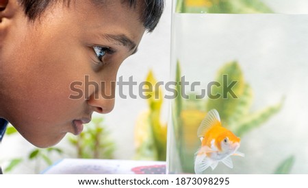 Little boy, kid watching the fish swimming in fish tank, children enjoying his pet fish