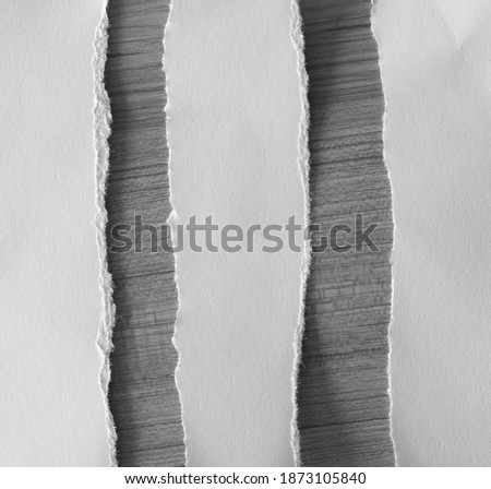 pieces of torn paper on wood background