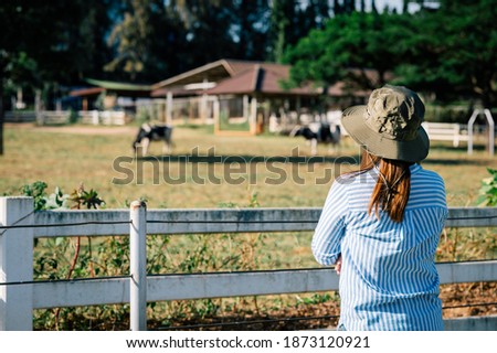 Female farmer working and looking on cow dairy farm.,Agriculture mature female farmer standing against cows in stable or farm countryside.