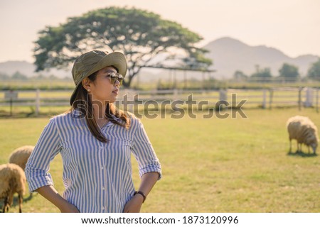 Female farmer working and looking on Sheep farm.,Agriculture mature female farmer standing against Sheep in stable or farm countryside.