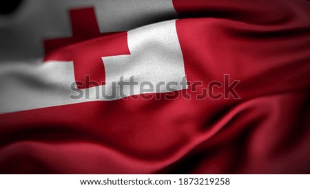 close up waving flag of Tonga. flag symbols of Tonga.