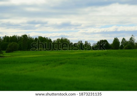 Beautiful rural countryside landscape with green field, mixed forest and cloudy sky on summer day. Stock Photo