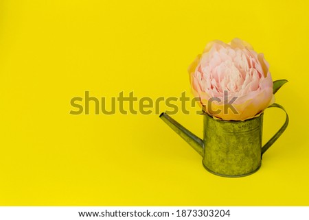 tin watering can with a large pink peony flower on a yellow background, close-up