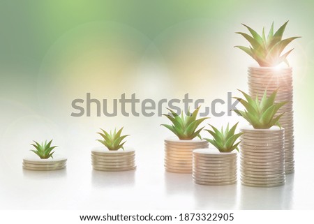 Retirement saving with return on investment concept and sustainable economic growth idea. Stack of coins with succulents plant glowing on abstract background. 
