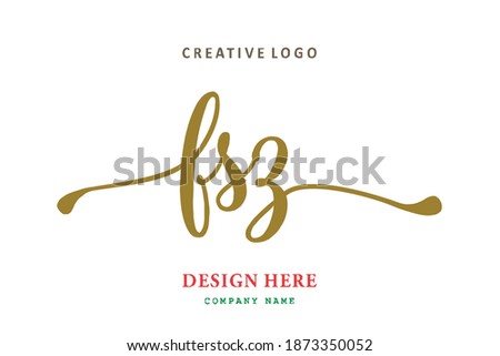 FSZ lettering logo is simple, easy to understand and authoritative