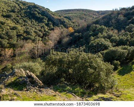 Photo of mount to take a walk through nature.  The photos have been taken in Castillo De Alba, Zamora.