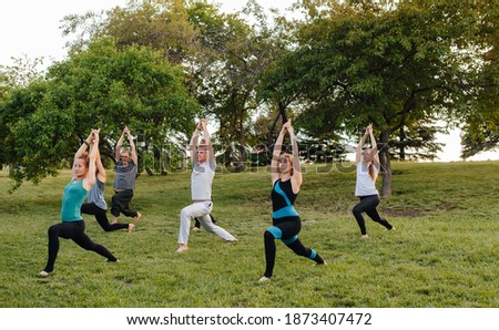 A group of people do yoga in the Park at sunset. Healthy lifestyle, meditation and Wellness Royalty-Free Stock Photo #1873407472