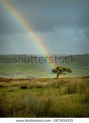 End of a rainbow over a tree 
