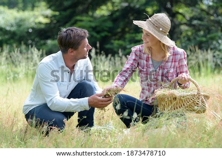 couple in love on the grass
