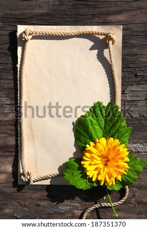 Vintage Empty Paper with Flower on an Old Wooden Wall Background