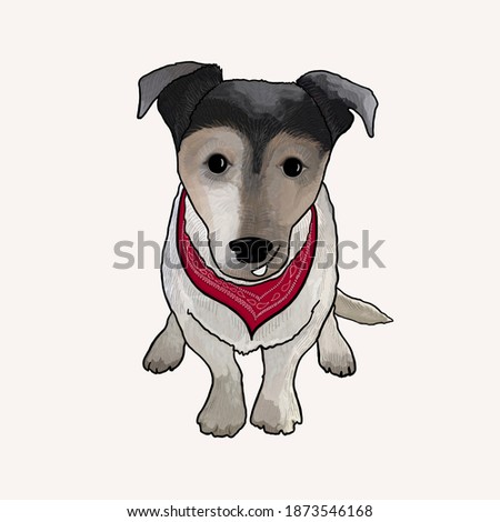 Jack russell dog with red band 