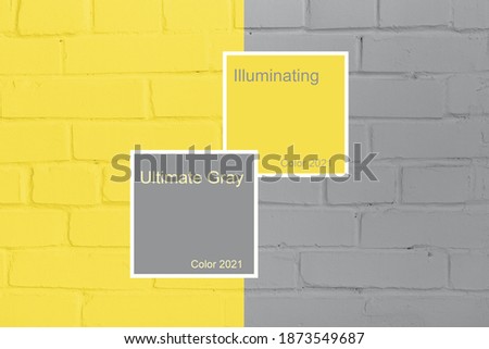 Pantone colors of 2021 - illuminating and Ultimate gray. Duotone colored concrete wall, with description frame