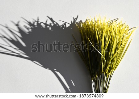 Yellow grass on a gray background. presentation of fashion colors 2021