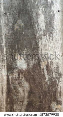 a unique wood abstract texture