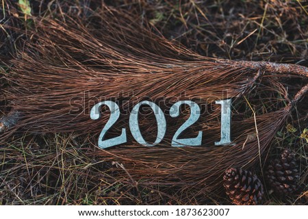 New year 2021 Metal lettering with warm nature vintage style for New year card, brochure, web design