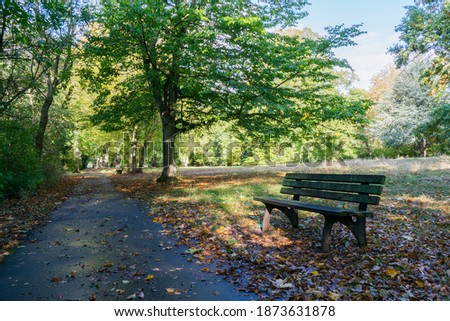 Park with colorful trees, autumn landscape