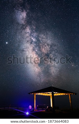 Milky way sky from the park in summer