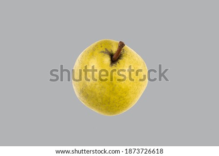 Yellow pear isolated on gray background. presentation of fashion colors 2021