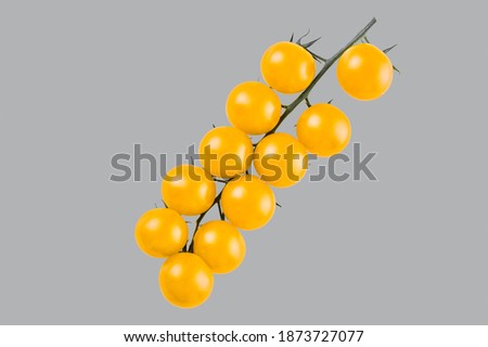 Yellow tomatoes isolated on gray background