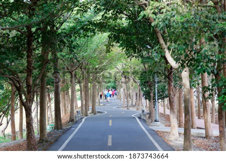 A perspective view of a bikeway under an archway of giant old trees with local people walking on the winding pathway through the lavish greenery in the morning, in Shengang District, Taichung, Taiwan