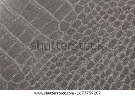 Gray crocodile skin texture as a background. Scale texture.