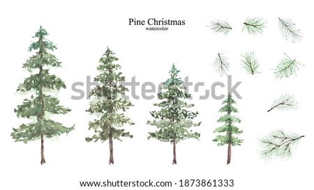 Conifer and pine branches watercolor isolated set