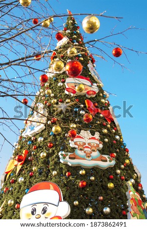 Elegant Christmas tree in daylight. Preparing for the holiday.Moscow. Vertical orientation