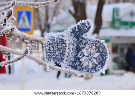 A child's frosted mitten hangs on a branch of a snow-covered tree and seems to point the way. A pedestrian crosswalk sign is visible in the background. Close up, blurry background. Concept, humor.