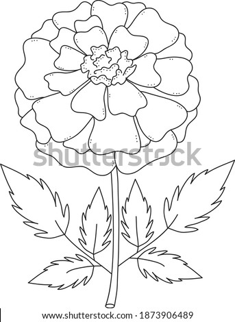 Marigold black and white clip art, simple marigold flower vector clip art