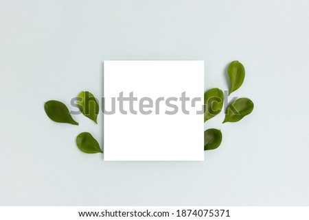 Frame made of green leaves on a blue pastel background. Paper card mockup. Spring concept with copy space.  Royalty-Free Stock Photo #1874075371