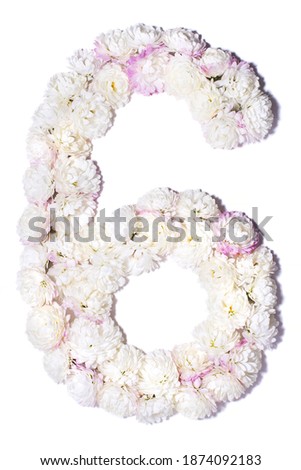 Arabic numerals from white chrysanthemums on white background, isolate