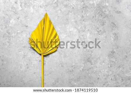 Yellow dry palm leaf on gray grunge background. The trendy color of 2021 is yellow and gray. Top view, flat lay