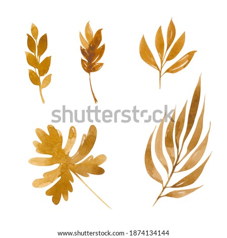 Watercolor gold plants. Hand drawn dry grass over white background