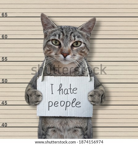 A gray cat criminal has a sign around his neck that says I hate people. Lineup beige background.